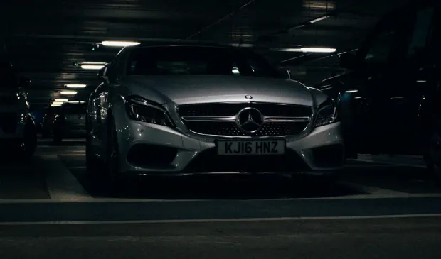 카지노 프라이즈 랜드 빙고 안드로이드/iOS 앱